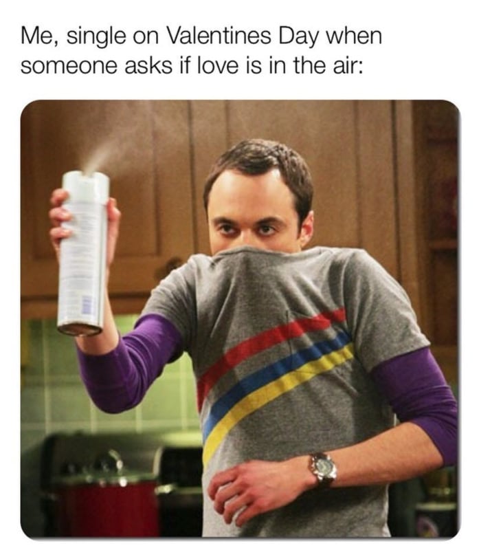 Valentines Day Memes - love in the air