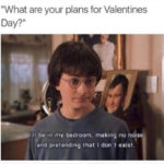 Valentines Day Memes - don't exist