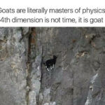 Goat Memes - masters of physics 4th dimension