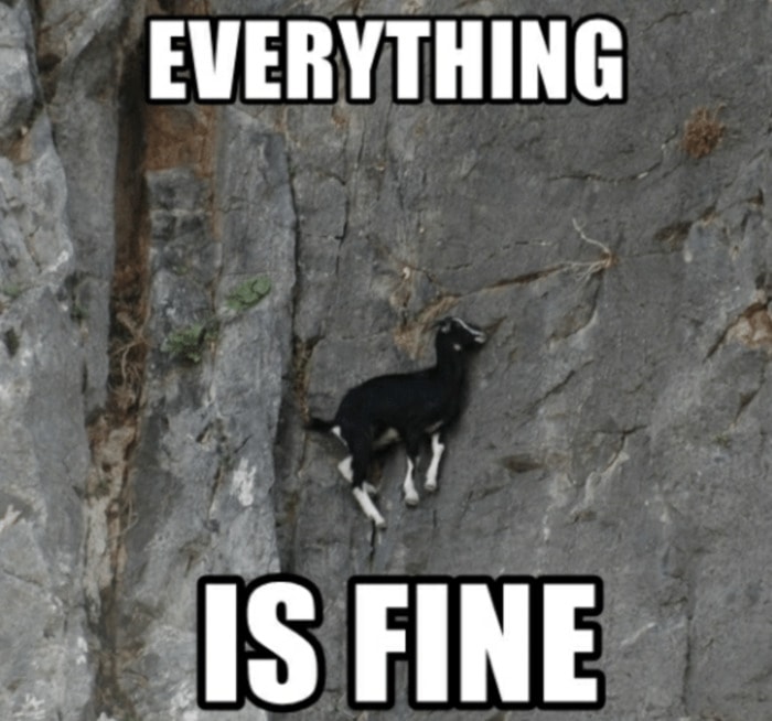 Goat Memes - everything is fine goat on wall