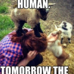 Goat Memes - today the human tomorrow the world