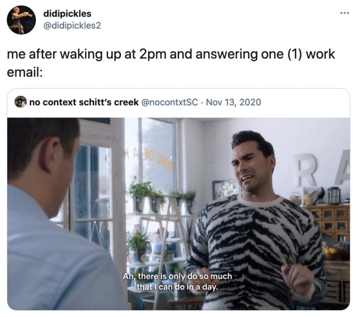 Schitt's Creek memes - David Rose only so much