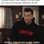 Schitt's Creek memes - one unstable sibling