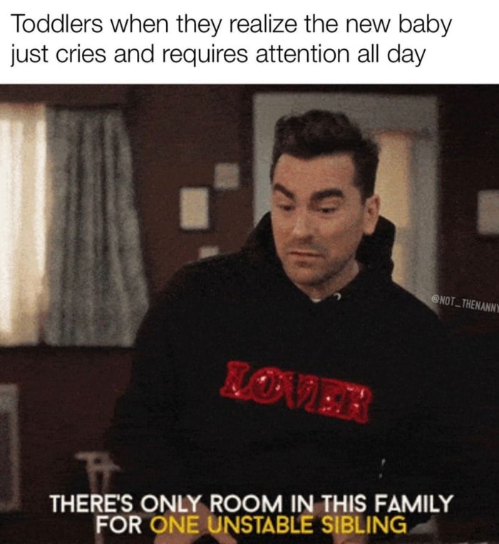 Schitt's Creek memes - one unstable sibling