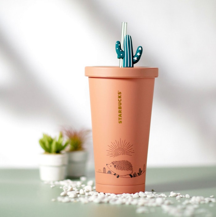 Starbucks Happy Hedgehog Collection - Brown Water Bottle with Cactus