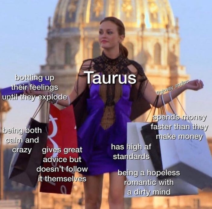 Taurus Memes - carrying bags