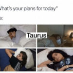 Taurus Memes - napping
