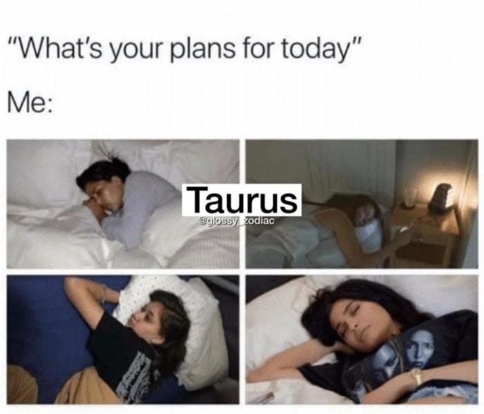 Taurus Memes - napping