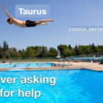 Taurus Memes - asking for help diving into pool