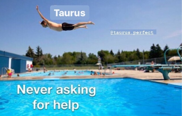 Taurus Memes - asking for help diving into pool