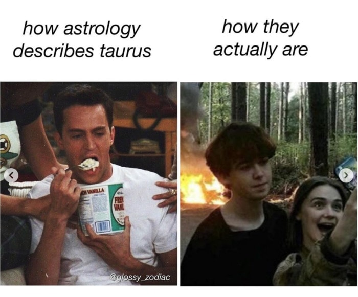 Taurus Memes - eating ice cream