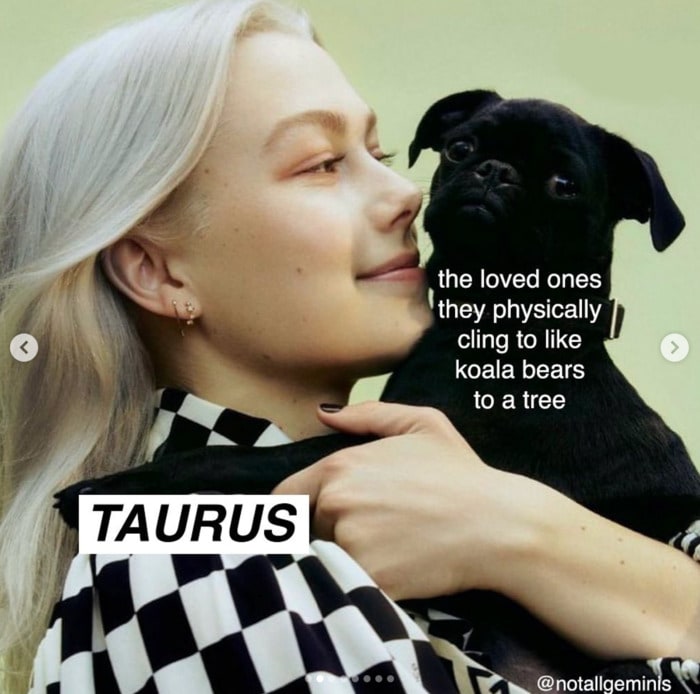 Taurus Memes - cuddling dog