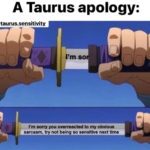 Taurus Memes - Sword sorry