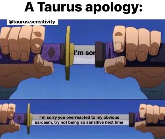 Taurus Memes - Sword sorry