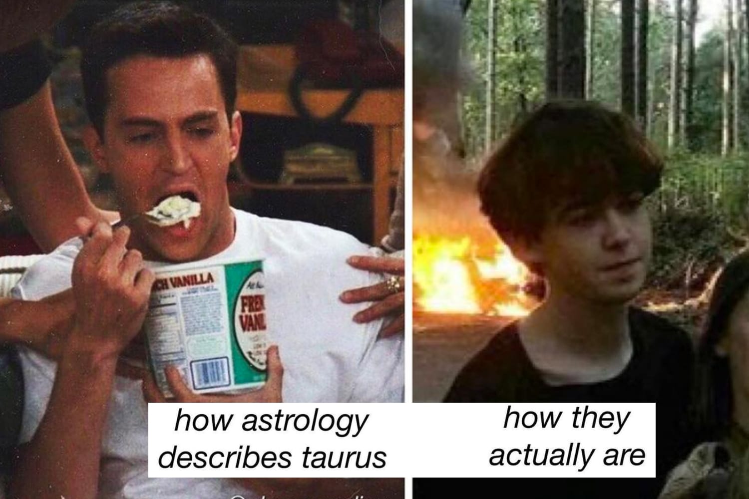 20 Funny Taurus Memes for All You Bulls Out There - Let's Eat Cake 20 Funny Taurus Memes for All You Bulls Out There - Let's Eat Cake