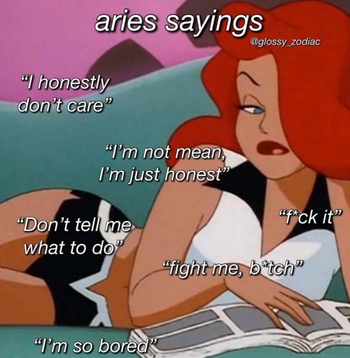 Aries Memes - not mean just honest