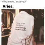 21 Aries Memes for The Fiery Rams of the Zodiac - Let's Eat Cake 21 Aries Memes for The Fiery Rams of the Zodiac - Let's Eat Cake