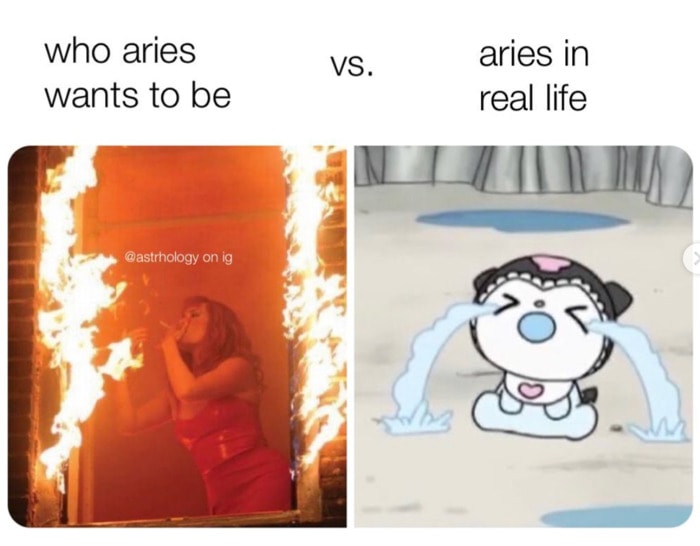 Aries Memes - set it on fire