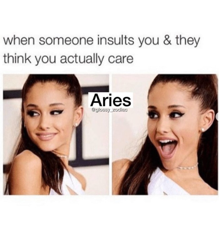 21 Aries Memes for The Fiery Rams of the Zodiac - Let's Eat Cake