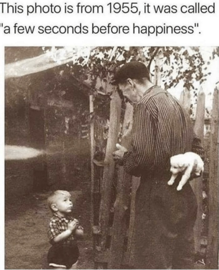 Wholesome Memes - A few seconds before happiness