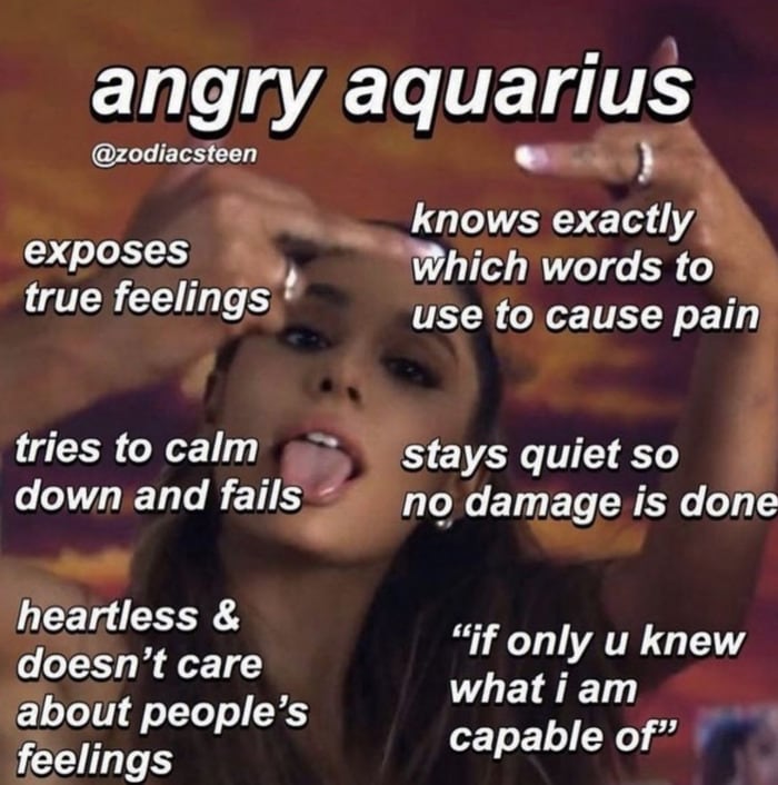 19 Funny Aquarius Memes for the Most Creative Air Sign - Let's Eat Cake 19 Funny Aquarius Memes for the Most Creative Air Sign - Let's Eat Cake