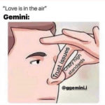 Gemini Memes - Love is in the air
