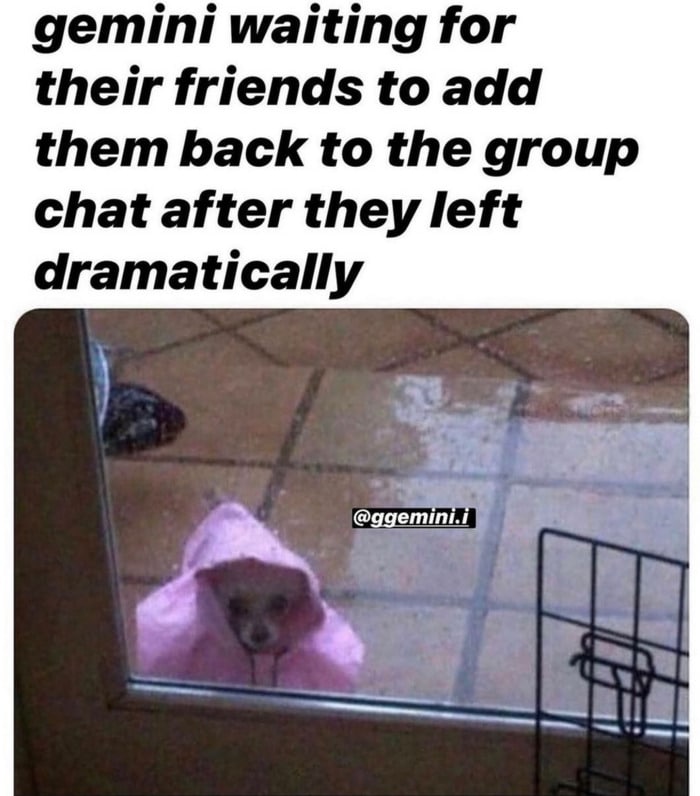 19 Funny Gemini Memes for the Most Hated Zodiac Sign - Let's Eat Cake 19 Funny Gemini Memes for the Most Hated Zodiac Sign - Let's Eat Cake