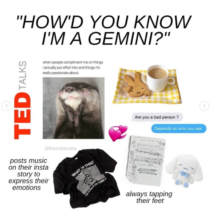 19 Funny Gemini Memes for the Most Hated Zodiac Sign Let's Eat Cake