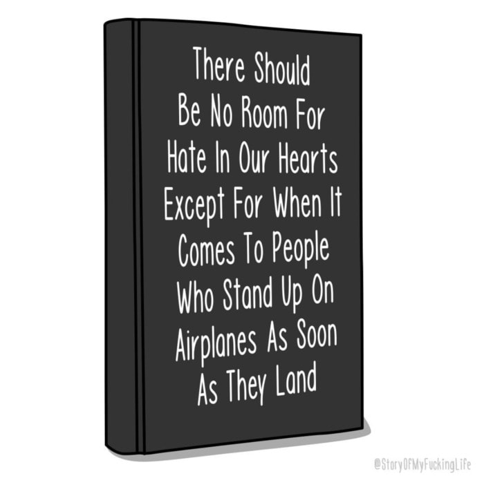 Story of My F*cking Life - stand up when airplane lands