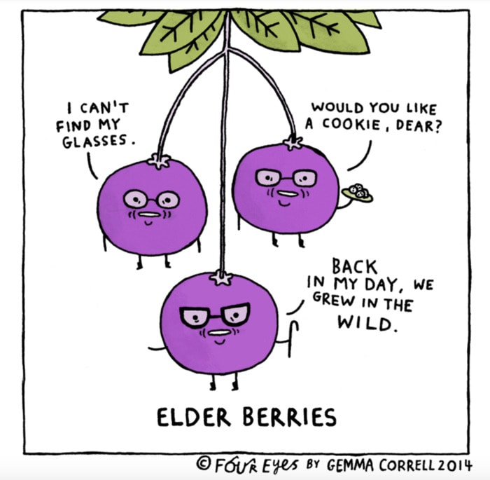 Berry Puns - elder berries cartoon