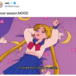 Cancer Zodiac Sign Memes - crying sailor moon