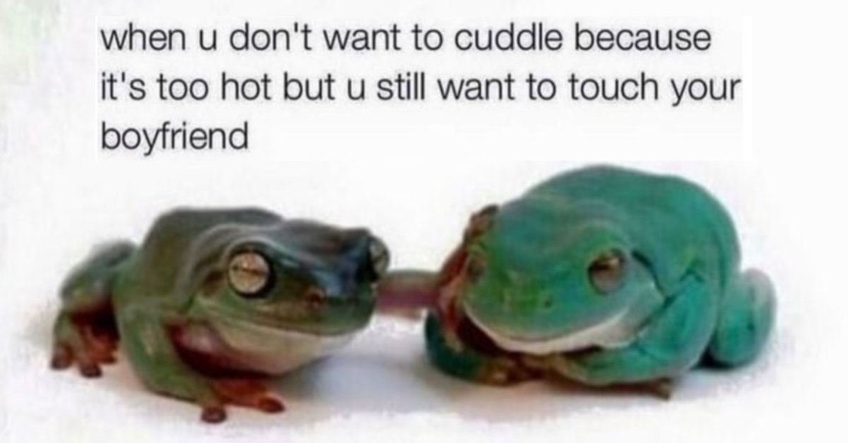 25 Funny Relationship Memes to Send to Your Partner- Let's Eat Cake