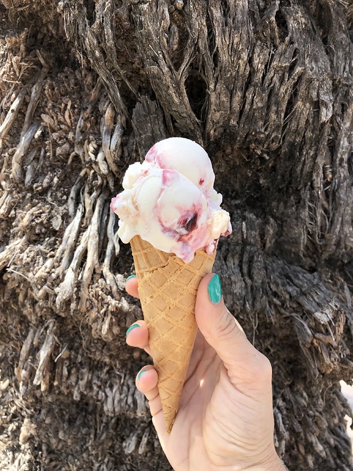 Gelato vs Ice Cream - in a cone