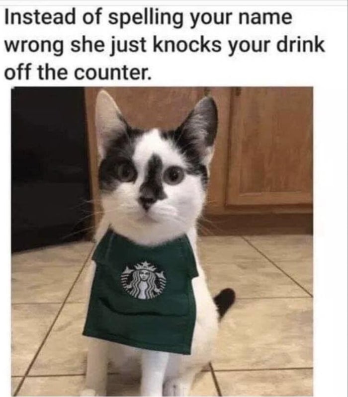 Starbucks Memes Tweets - cat barista