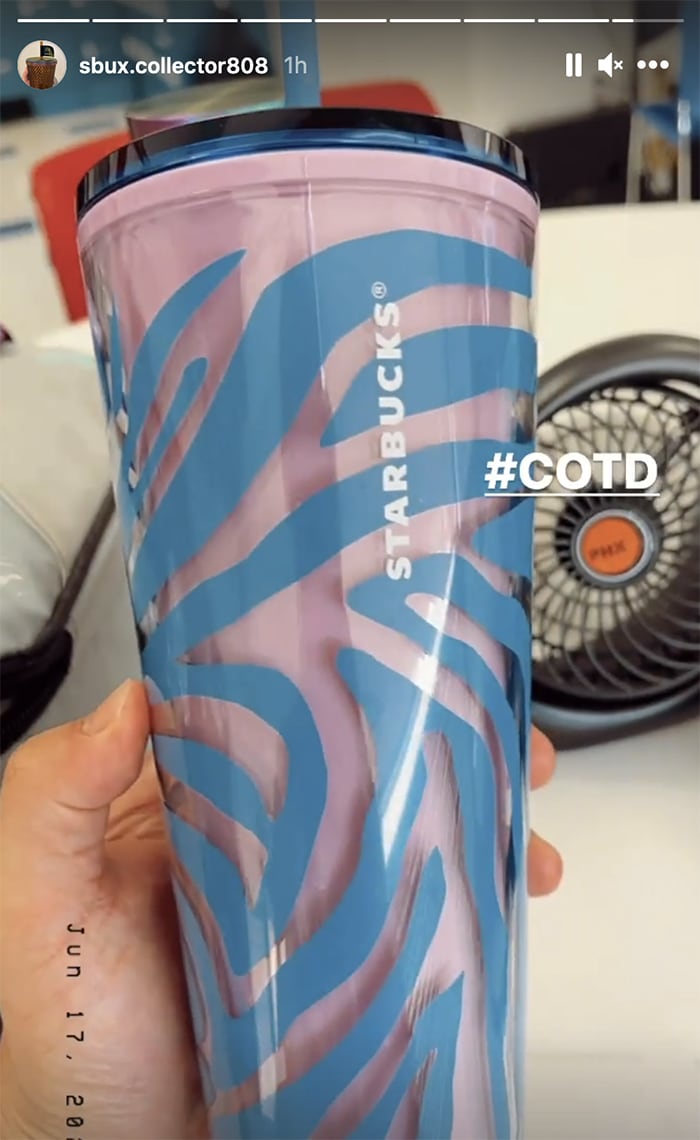 Starbucks Summer Cups June 22 - Pink Blue Zebra