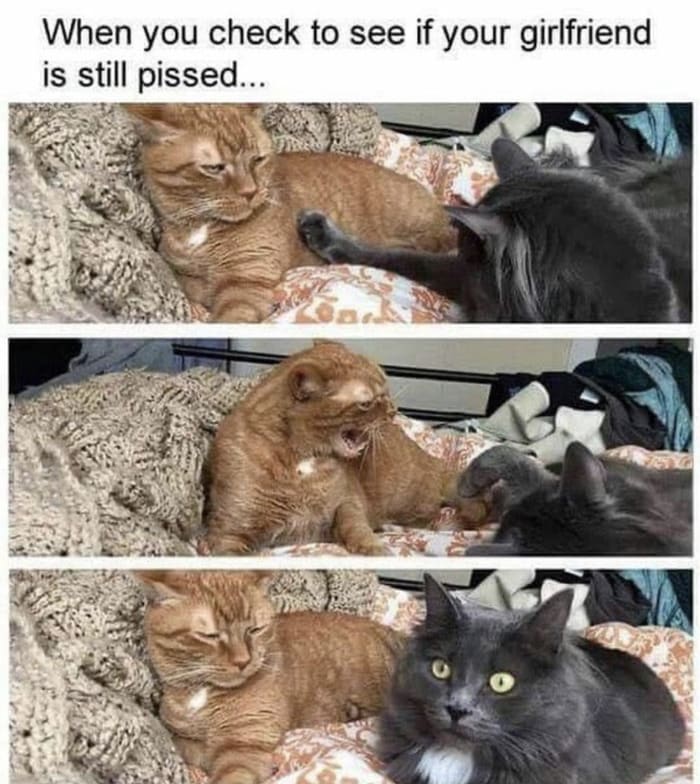25 Funny Relationship Memes to Send to Your Partner- Let's Eat Cake 25 Funny Relationship Memes to Send to Your Partner- Let's Eat Cake
