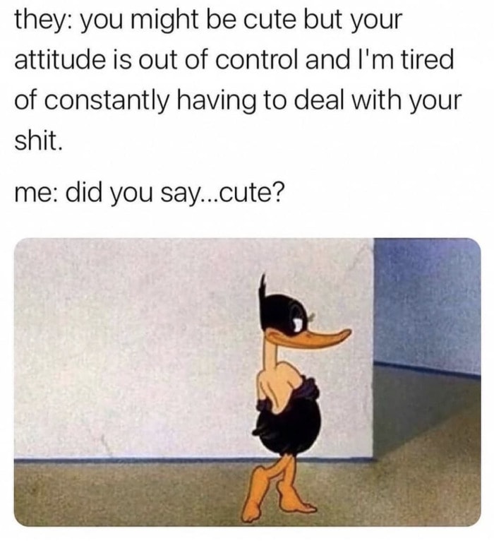 Relationship Memes - did you say cute?