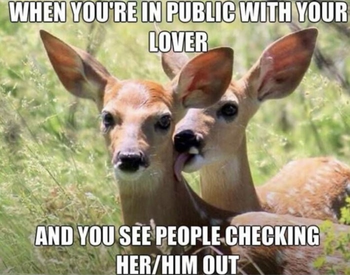 Relationship Memes - see someone checking him out
