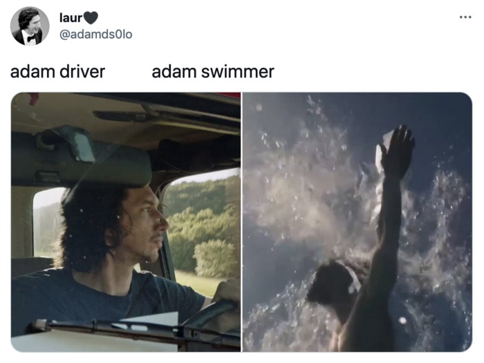Adam Driver Centaur Memes - adam swimmer