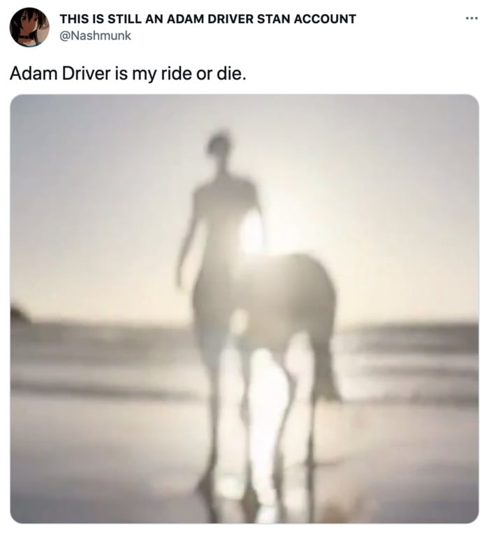 Adam Driver Centaur Memes - ride or die
