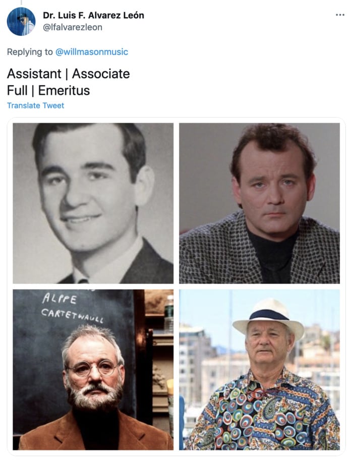Bill Murray Photo Cannes - Assistant Professor