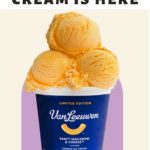 Kraft Mac and Cheese Ice Cream - Pin