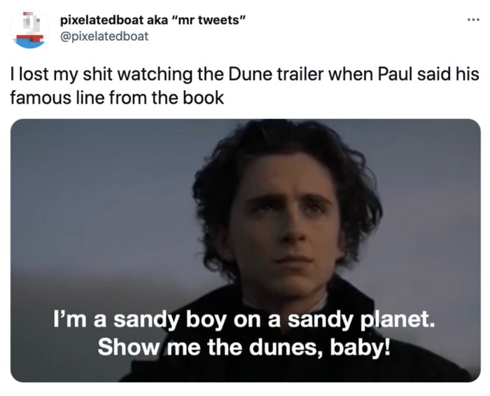 Dune Tweets - sandy boy