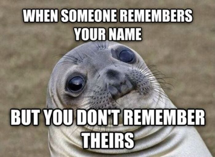 Funny Memes - Awkward Moment Seal