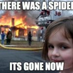 Funny Memes - Disaster Girl