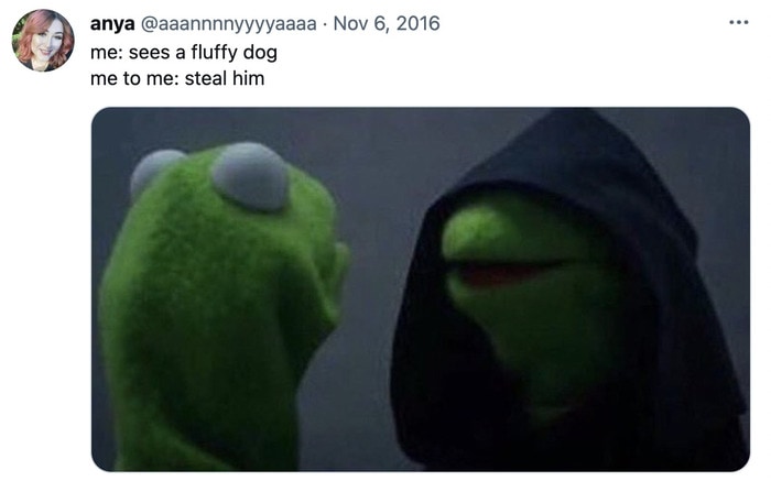 Funny Memes - Evil Kermit