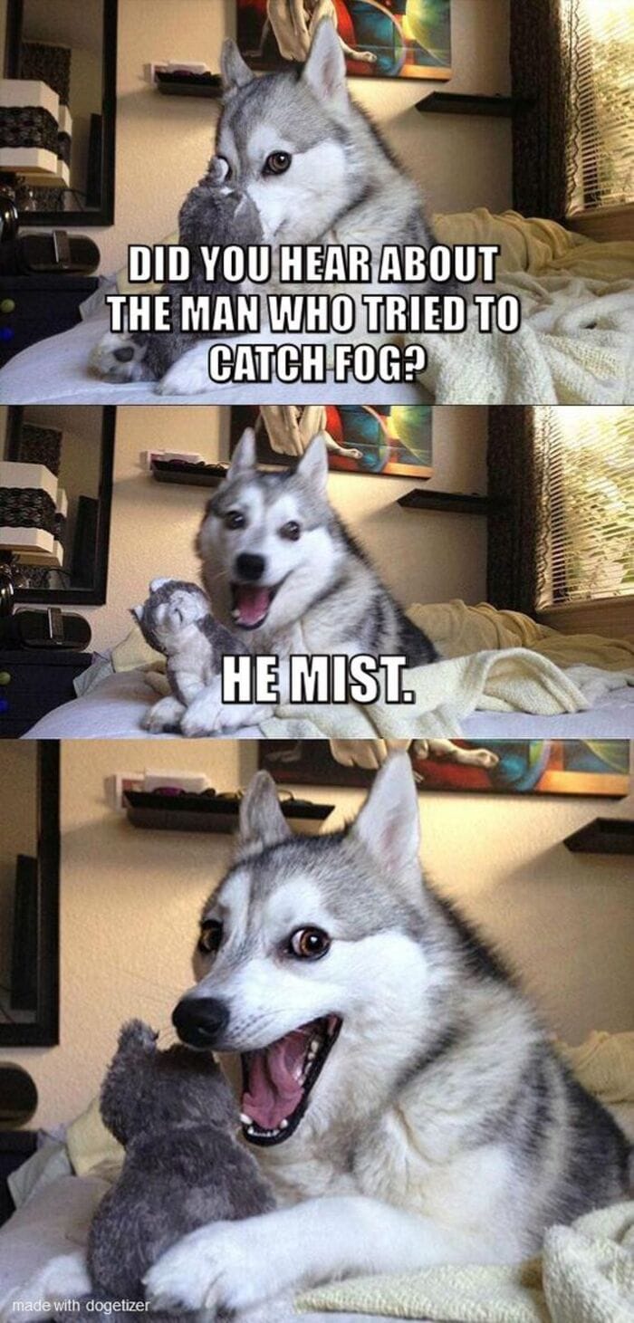 Funny Memes - Pun Dog