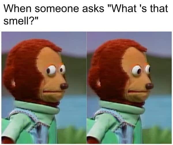 Funny Memes - Monkey Puppet 
