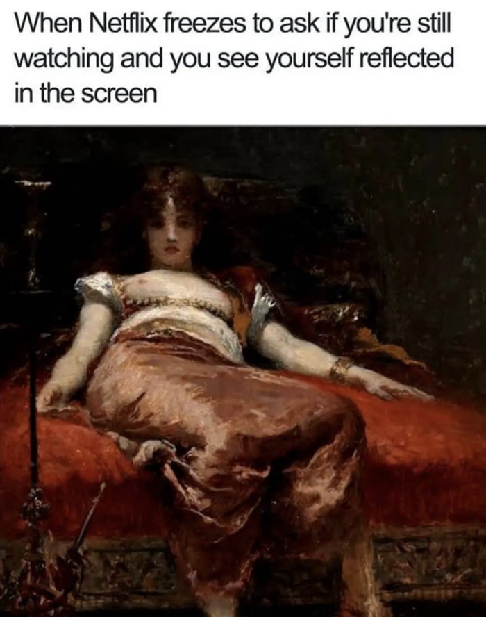 Art Memes - netflix