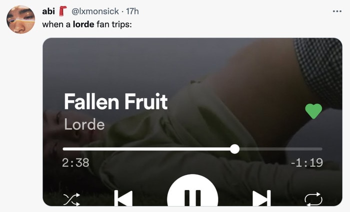 Lorde Solar Power Memes - fans fallen fruit